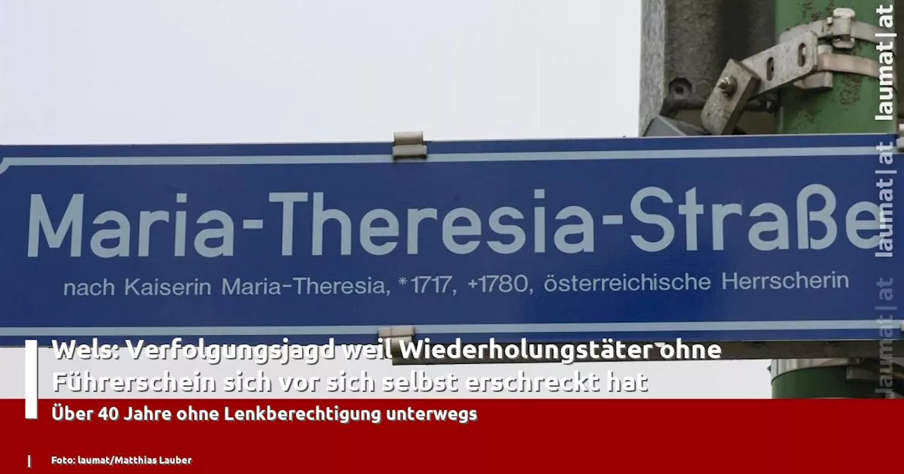 Fahrer ohne Führerschein nach Verfolgungsjagd in Wels festgenommen