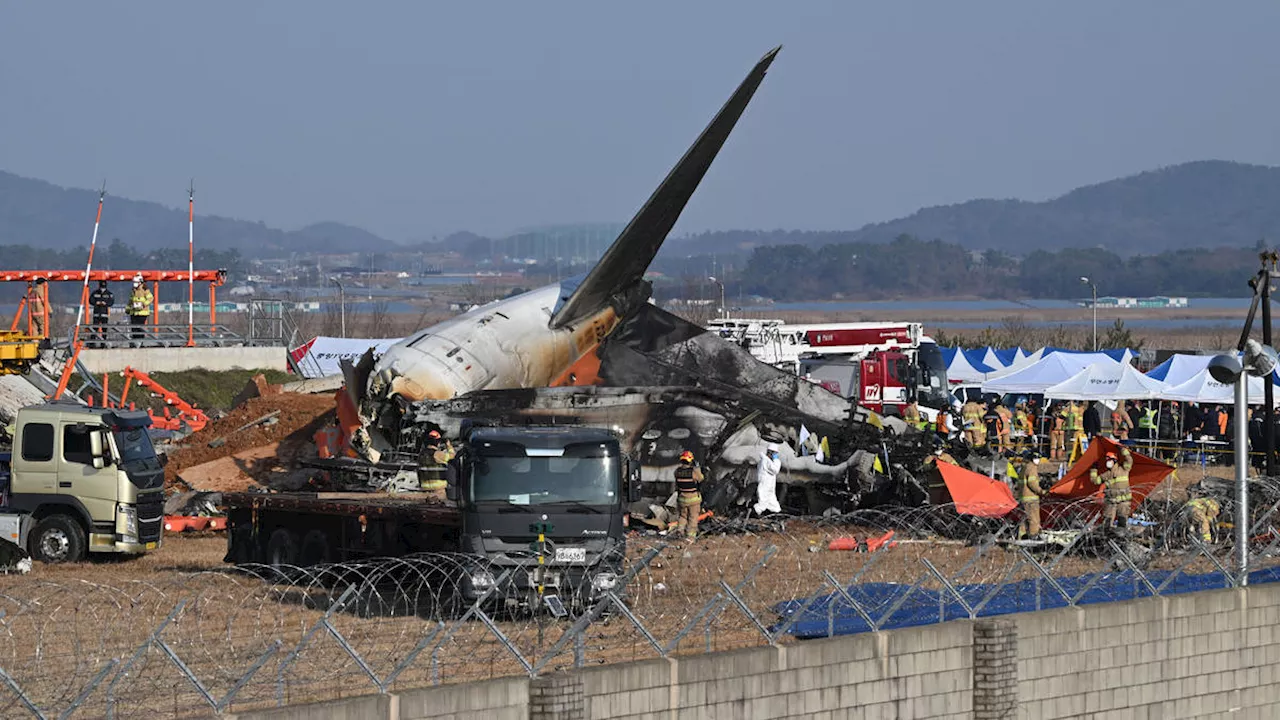 Jeju Air Plane Crash: 'No Issues' Found in Pre-Flight Checks