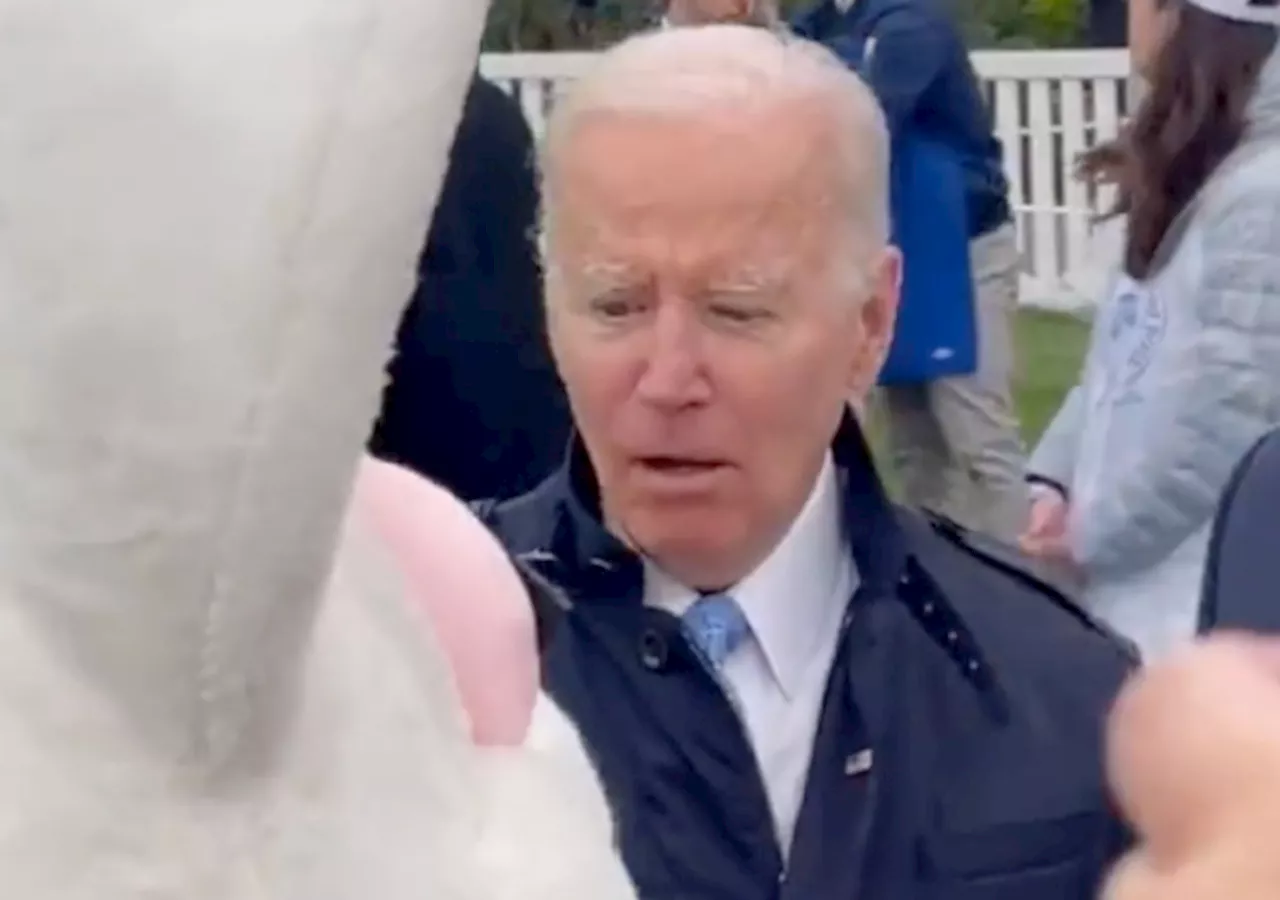 Democrats' Lies Exposed: Biden's Cognitive Decline Unveiled