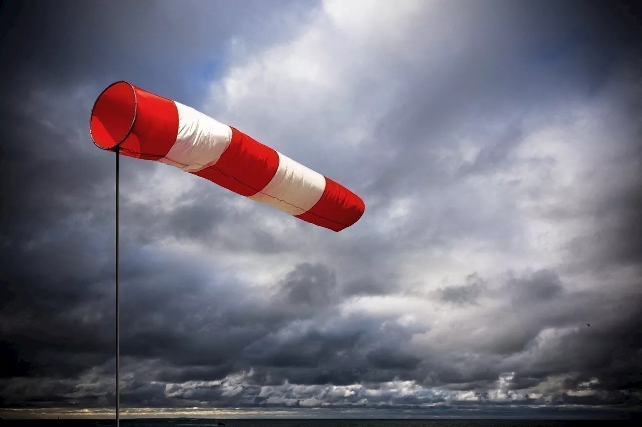 Tempête Éowyn : vents violents jusqu'à 110 km/h en Hauts-de-France