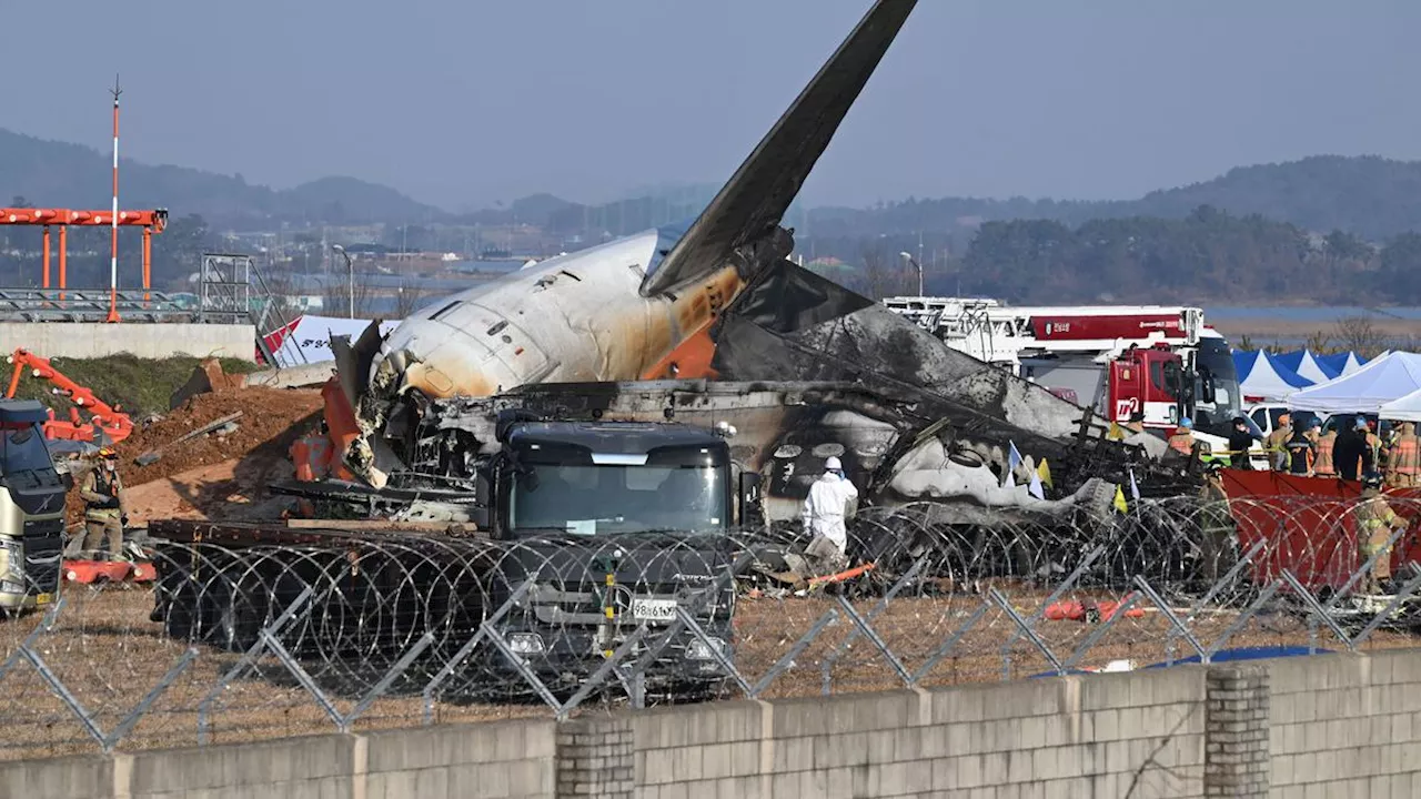 Pesawat Jeju Air Terhempas di Korea Selatan, 179 Orang Tewas