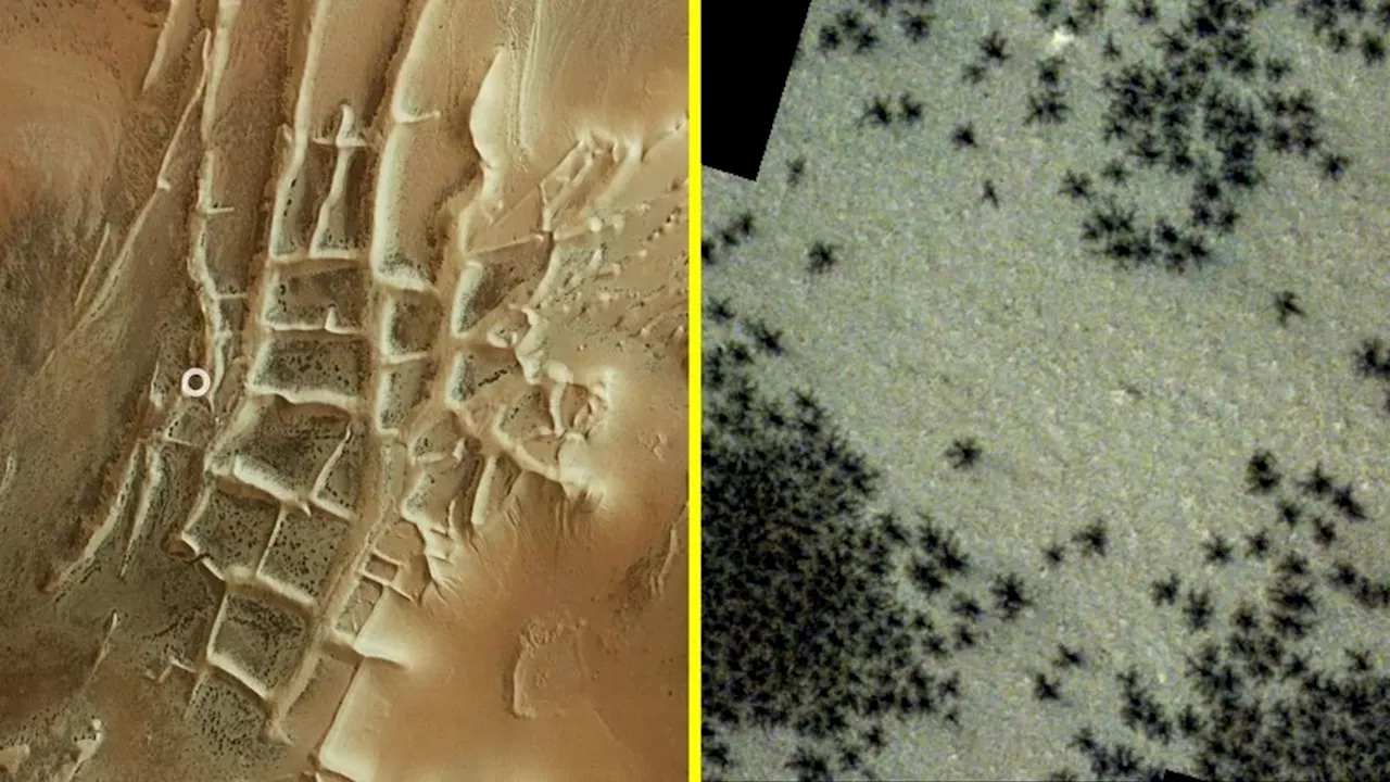 10 Amazing Things Found on Mars in 2024