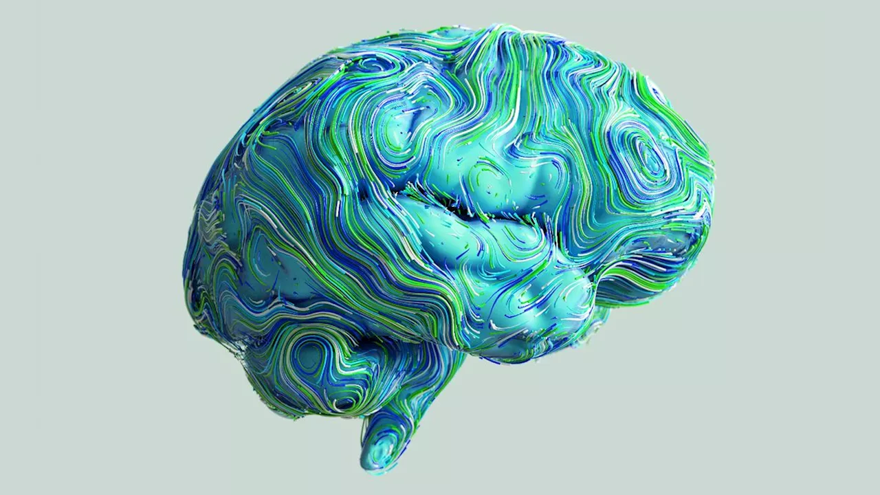 Brain Studies Reveal New Insights into How Our Minds Work