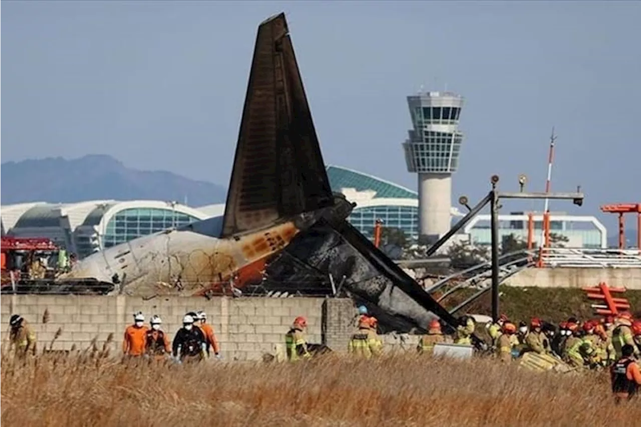 174 Jasad Korban Jeju Air sudah Bisa Diidentifikasi