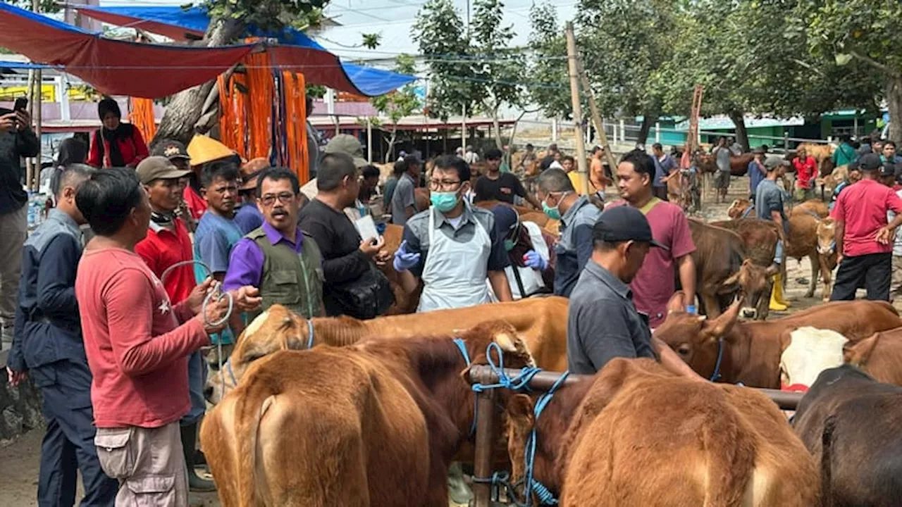 Pengamatan Kesehatan Ternak di Pasar Hewan Pracimantoro untuk Cegah Penyakit Selama Nataru