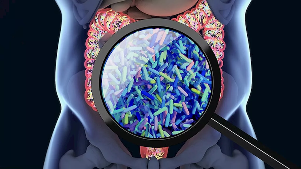 Microbiome Testing Not Ready for Clinical Practice, Experts Say