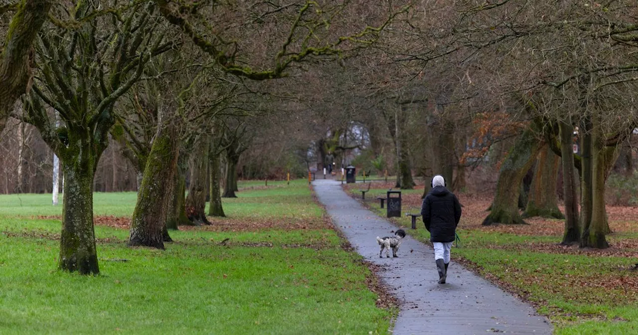 Charity to Create Memorial Forest in Salford Park