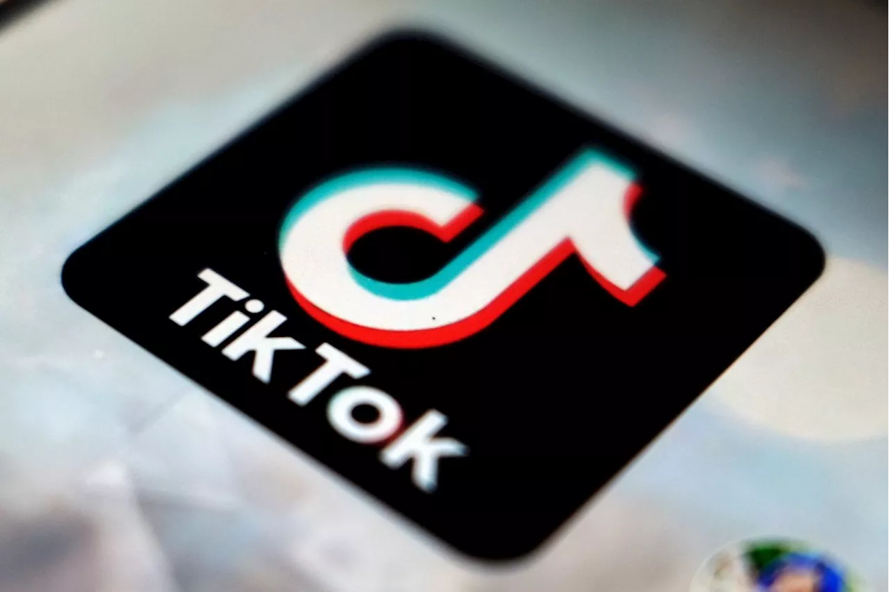 TikTok Dominates in 2024: Music, Sports, and Books Find New Life on the Platform