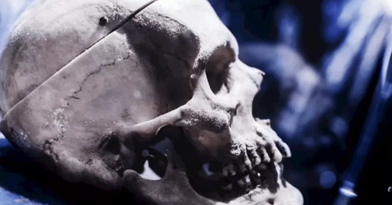 Murderous Gang Leader's Skull on Display