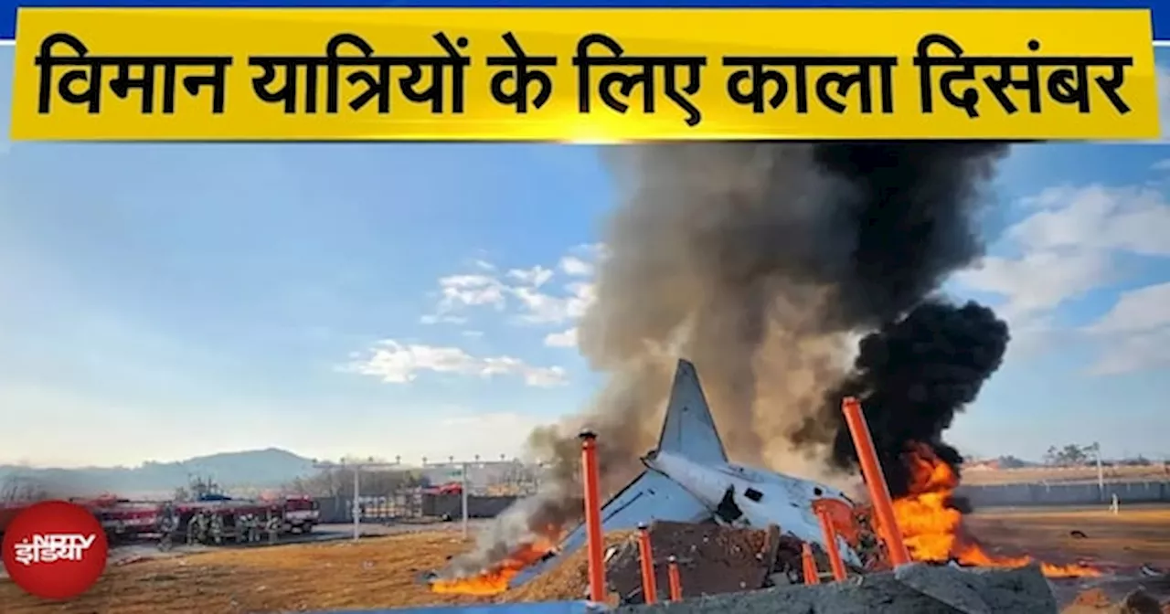 South Korea Plane Crash News: जाते हुए 2024 का आखिरी महीना क्यों रहा विमानों के लिए इतना काला?