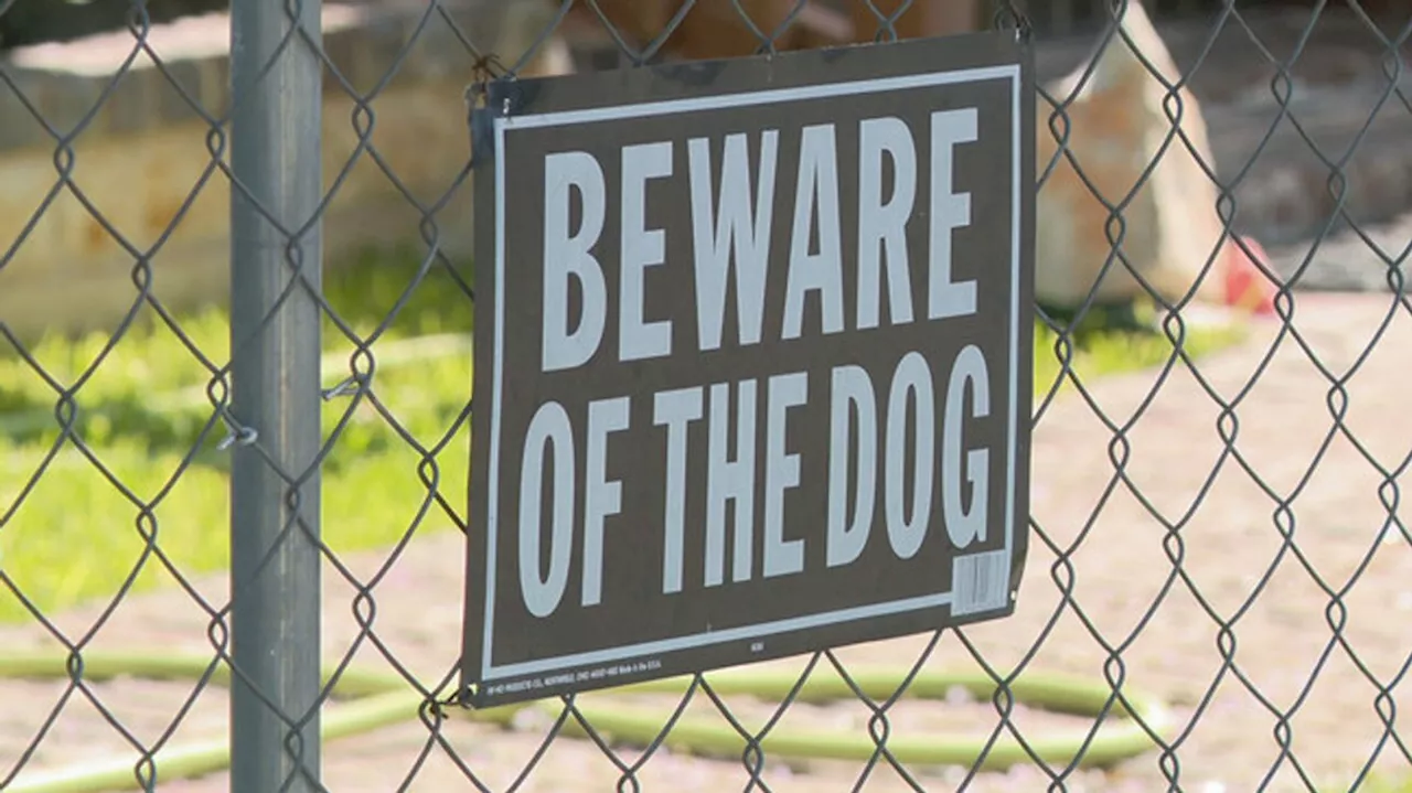 San Antonio Grapples with Deadly Dog Attacks