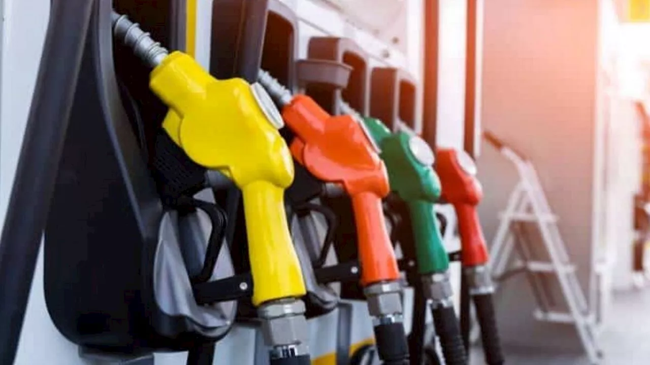 Petrol Diesel Price: Global Oil Prices Rise, Domestic Rates See Fluctuations