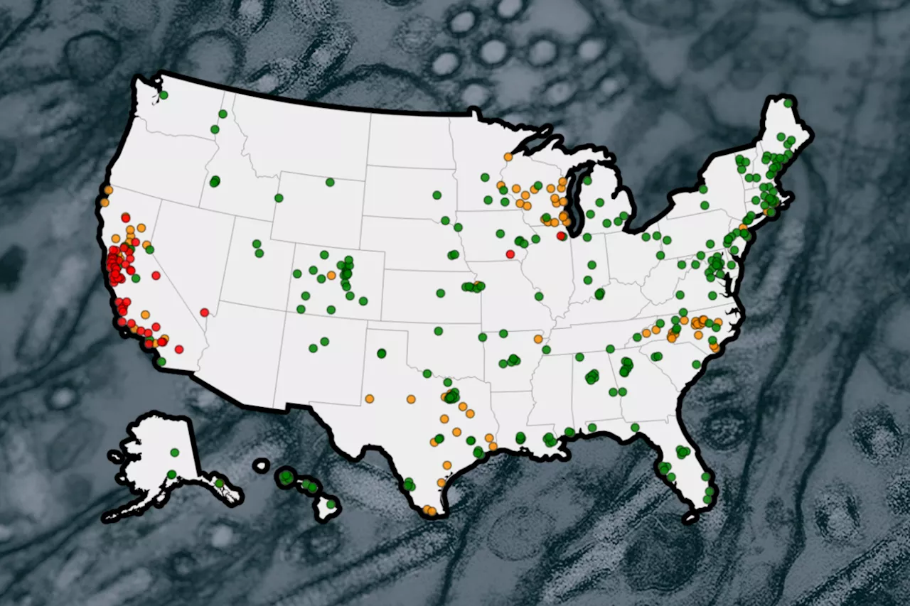 Bird Flu Update: CDC Says It's Searching for These Pandemic Red Flags