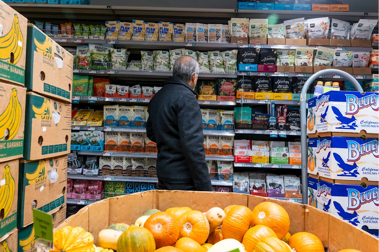 Plastic Contamination Found in Popular Foods, Study Reveals