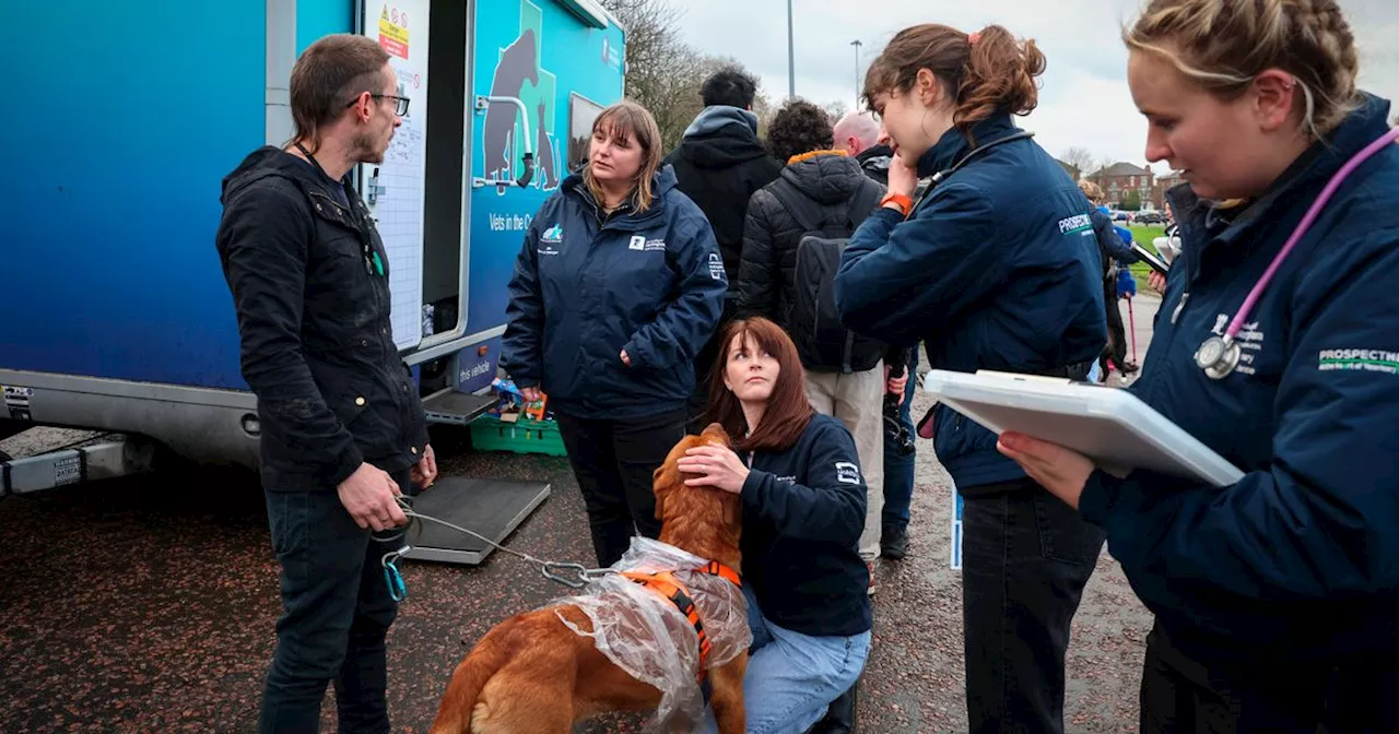 Mobile vet surgery helps homeless people with their pets for free