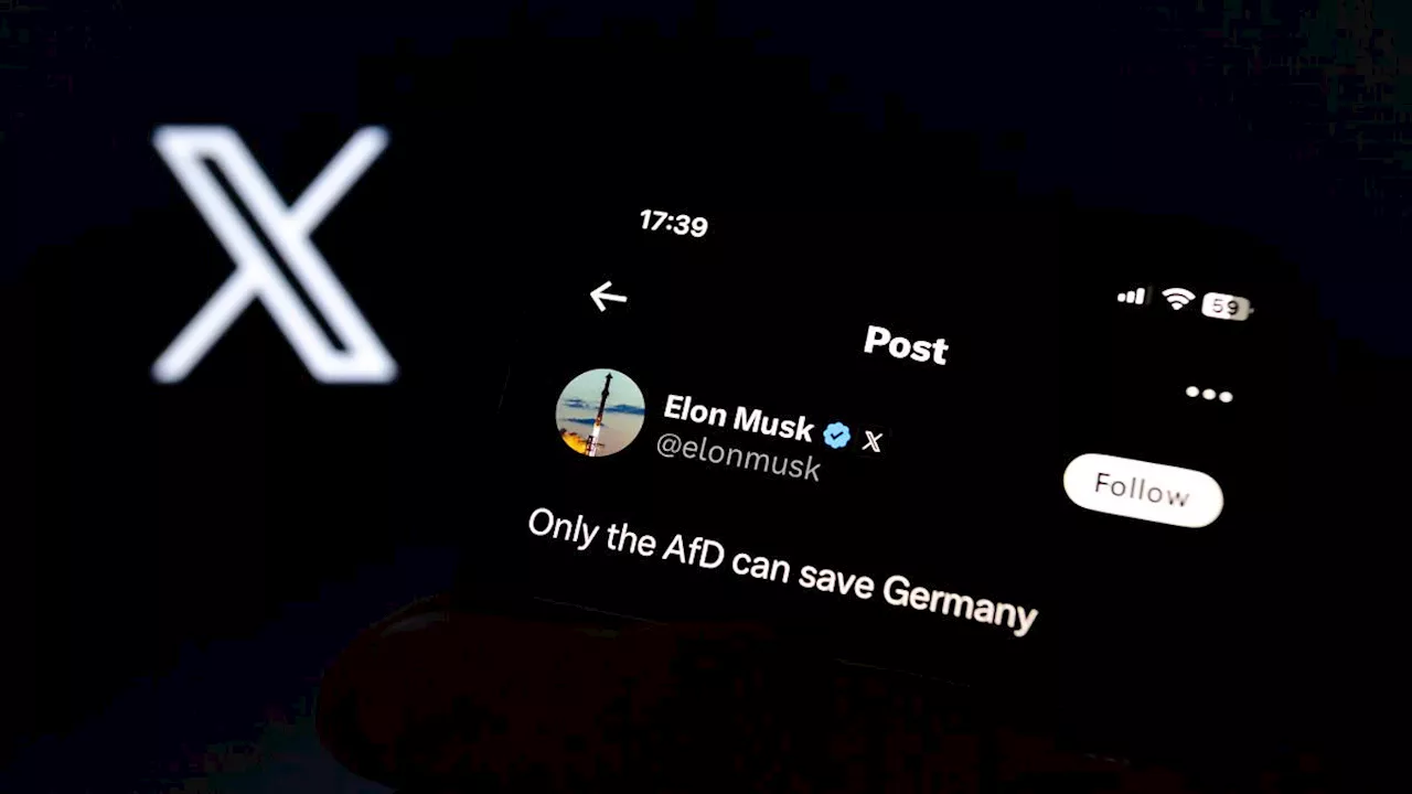 Elon Musk Beschimpft Steinmeier und Plant AfD-Gespräch