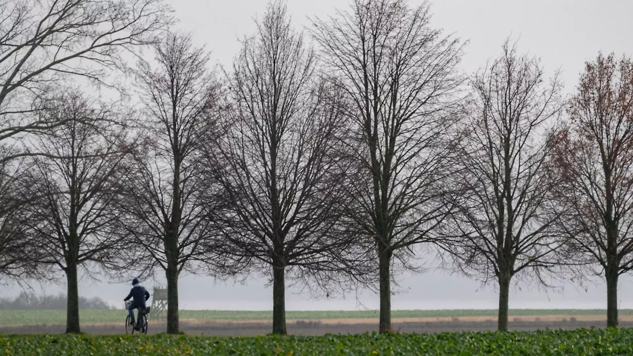 Mecklenburg-Vorpommern: 2024 wärmstes Jahr in MV seit Beginn der Aufzeichnungen