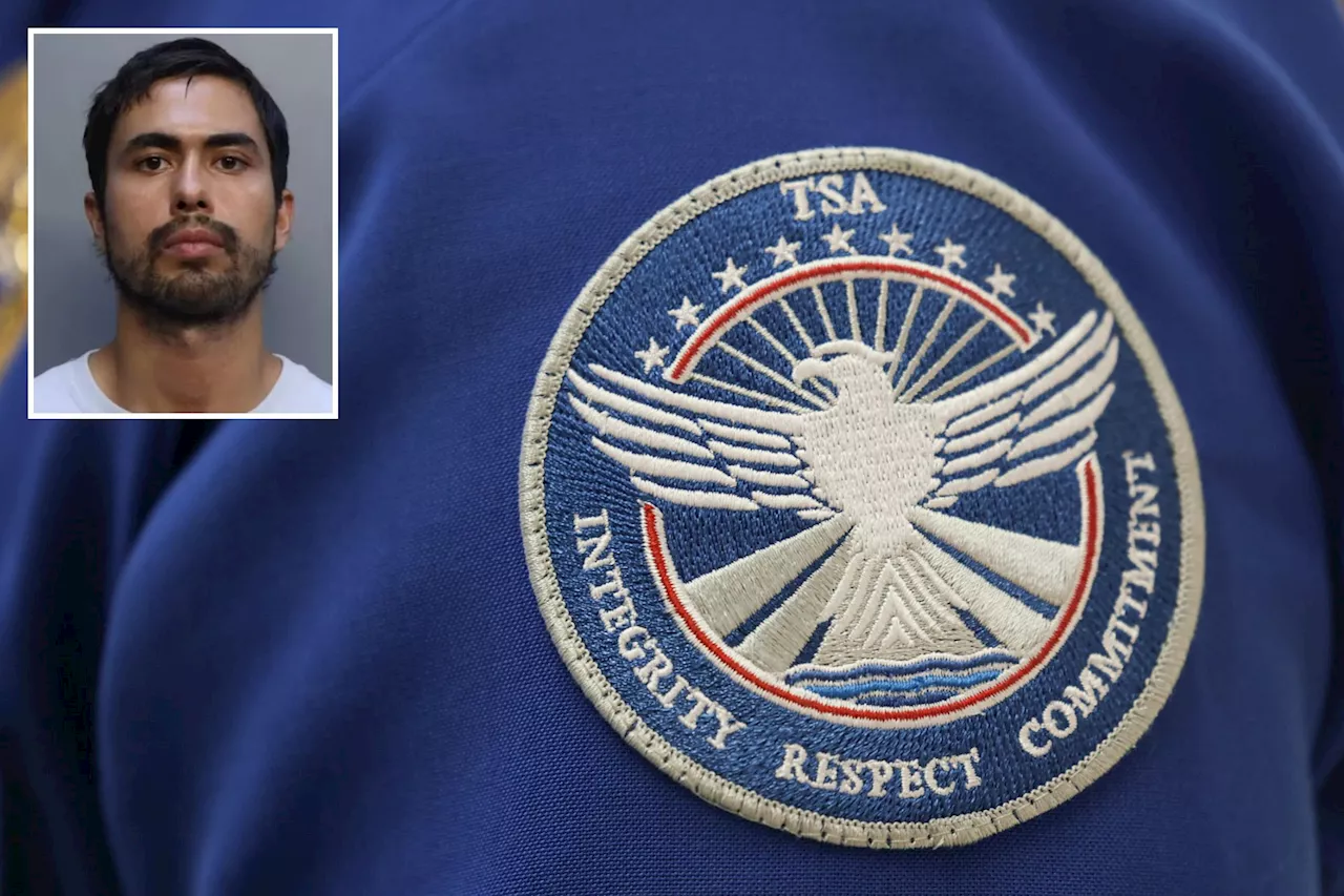 Canadian Man Allegedly Attacks Travelers and TSA Officers in Miami Airport After Mid-Flight Disturbance