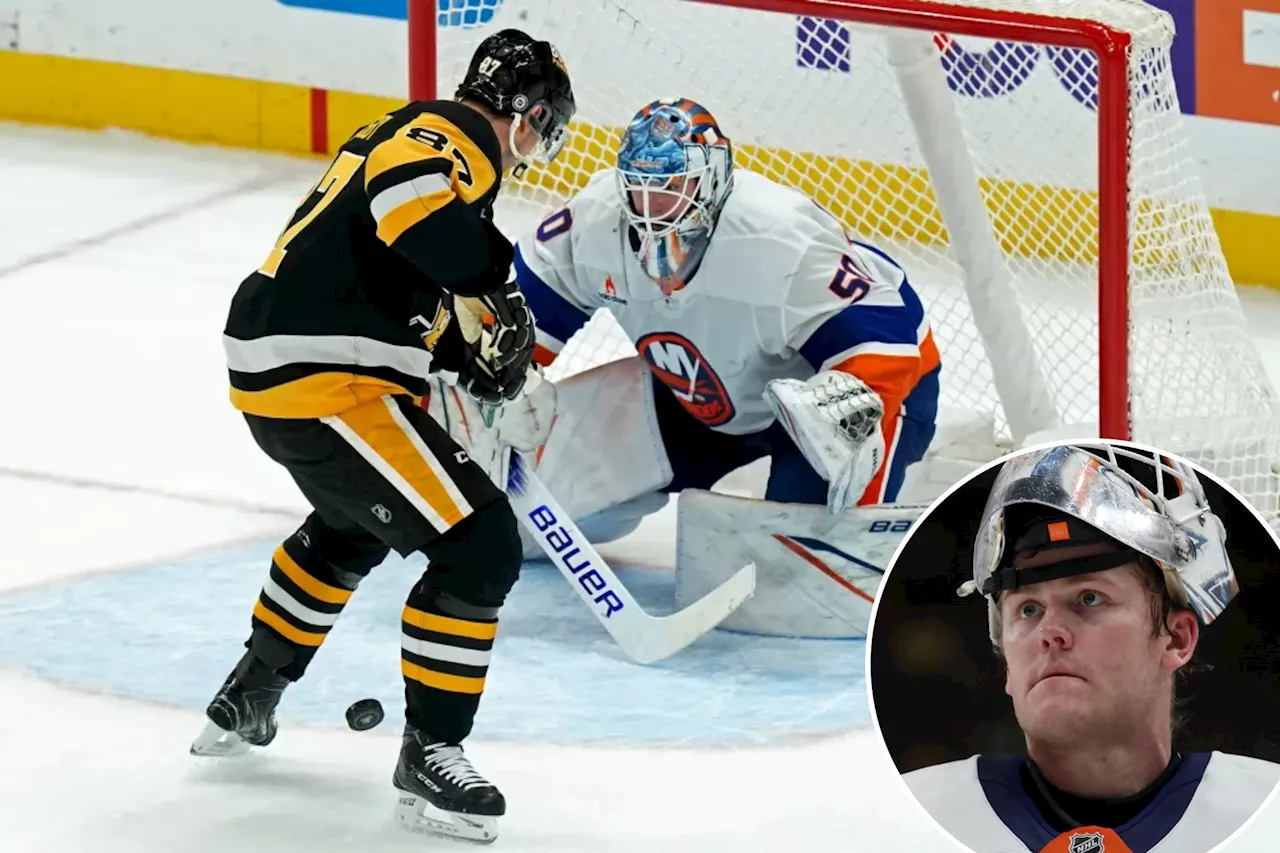 Hogberg Shines in Islanders' Loss, Emerges as Reliable Backup Option
