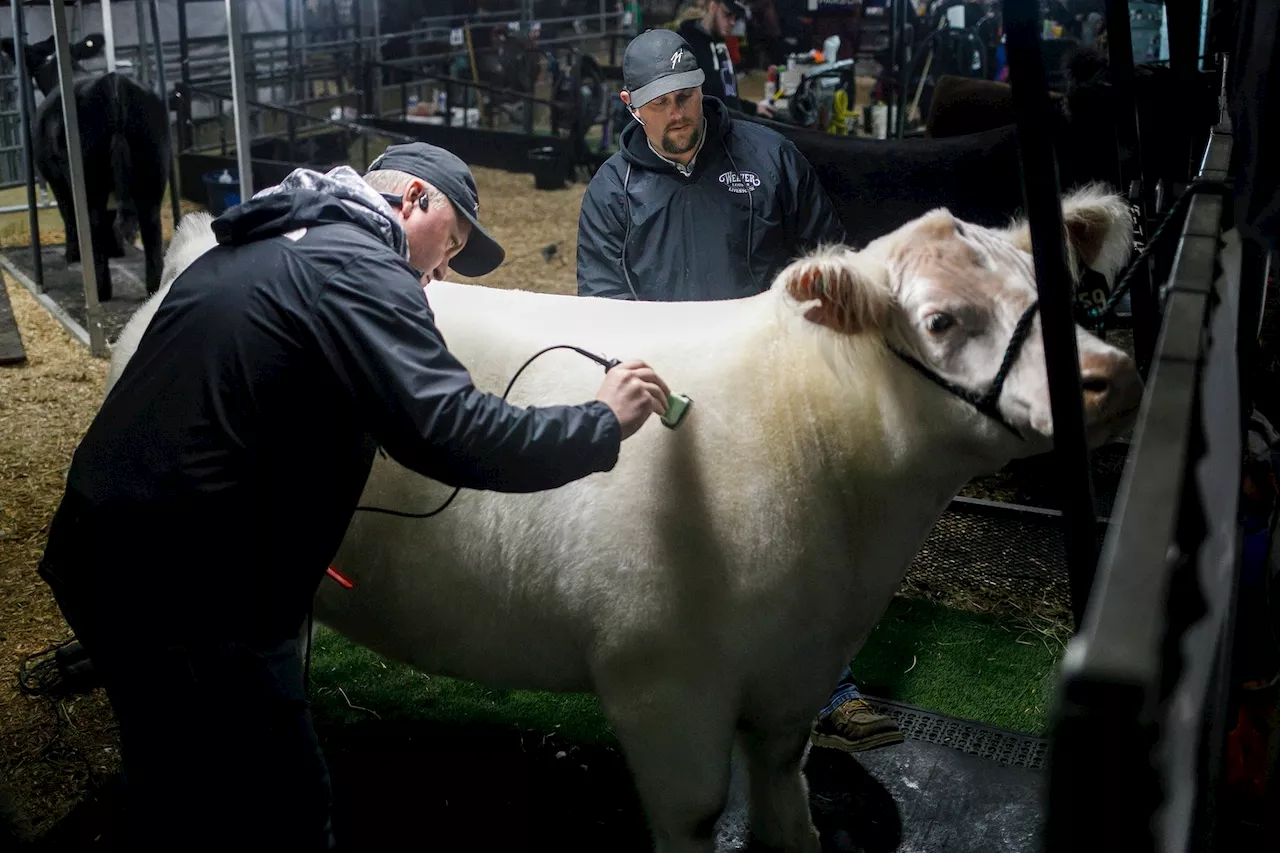 Pennsylvania Farm Show 2024: All You Need to Know