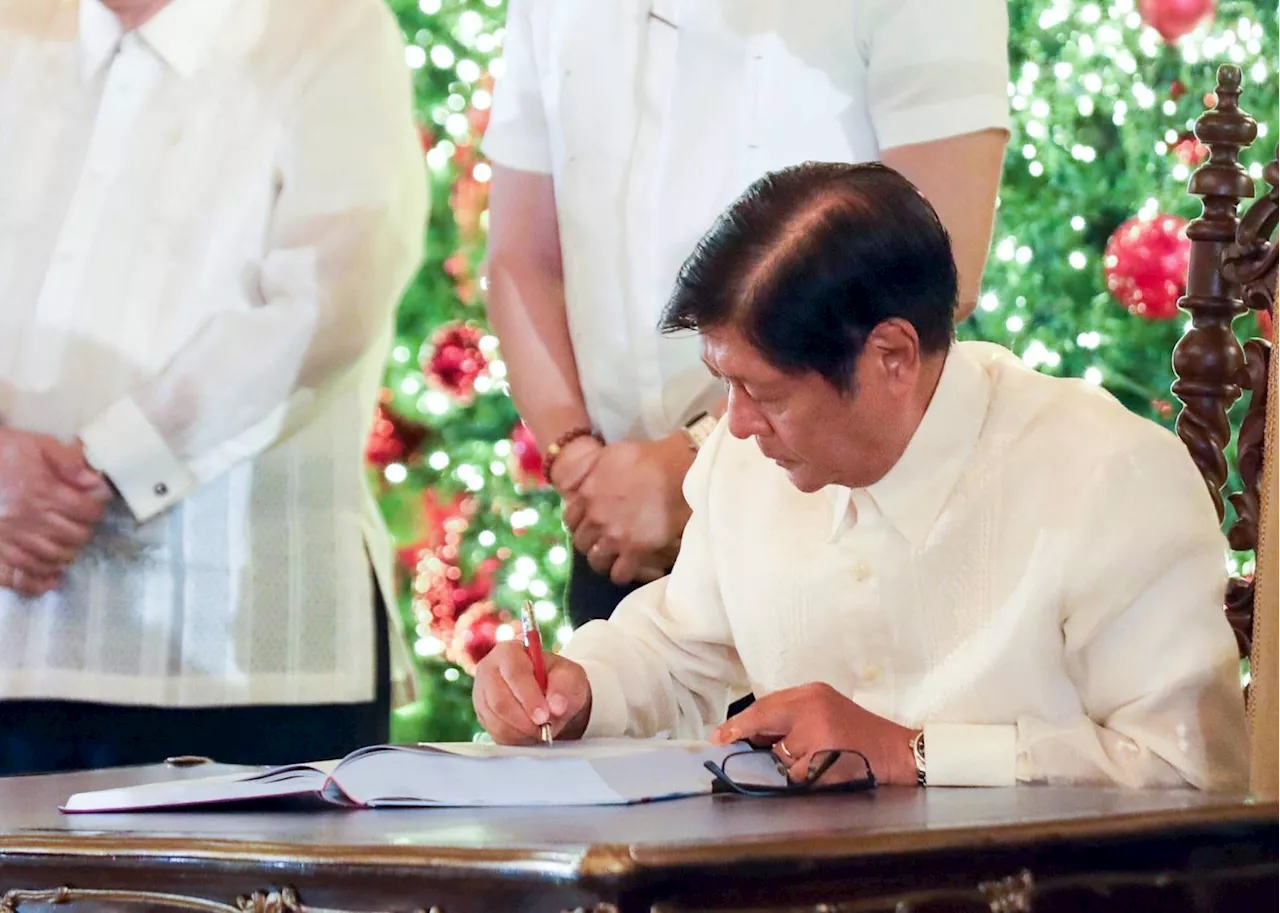 DOCUMENT: Marcos justifies P194-billion veto in 2025 budget