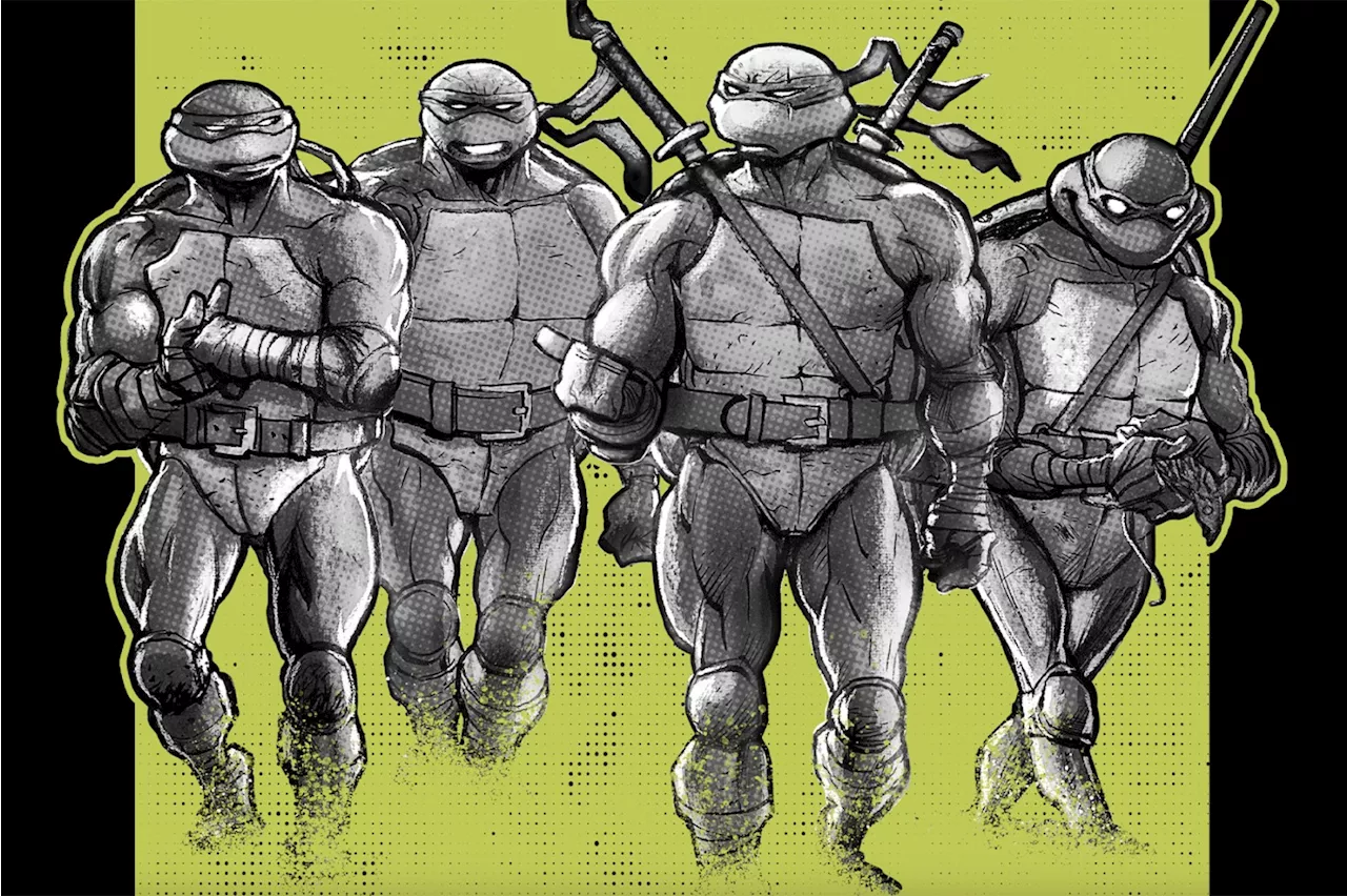 Teenage Mutant Ninja Turtles Co-Creator Reflects on Franchise's 40-Year Journey