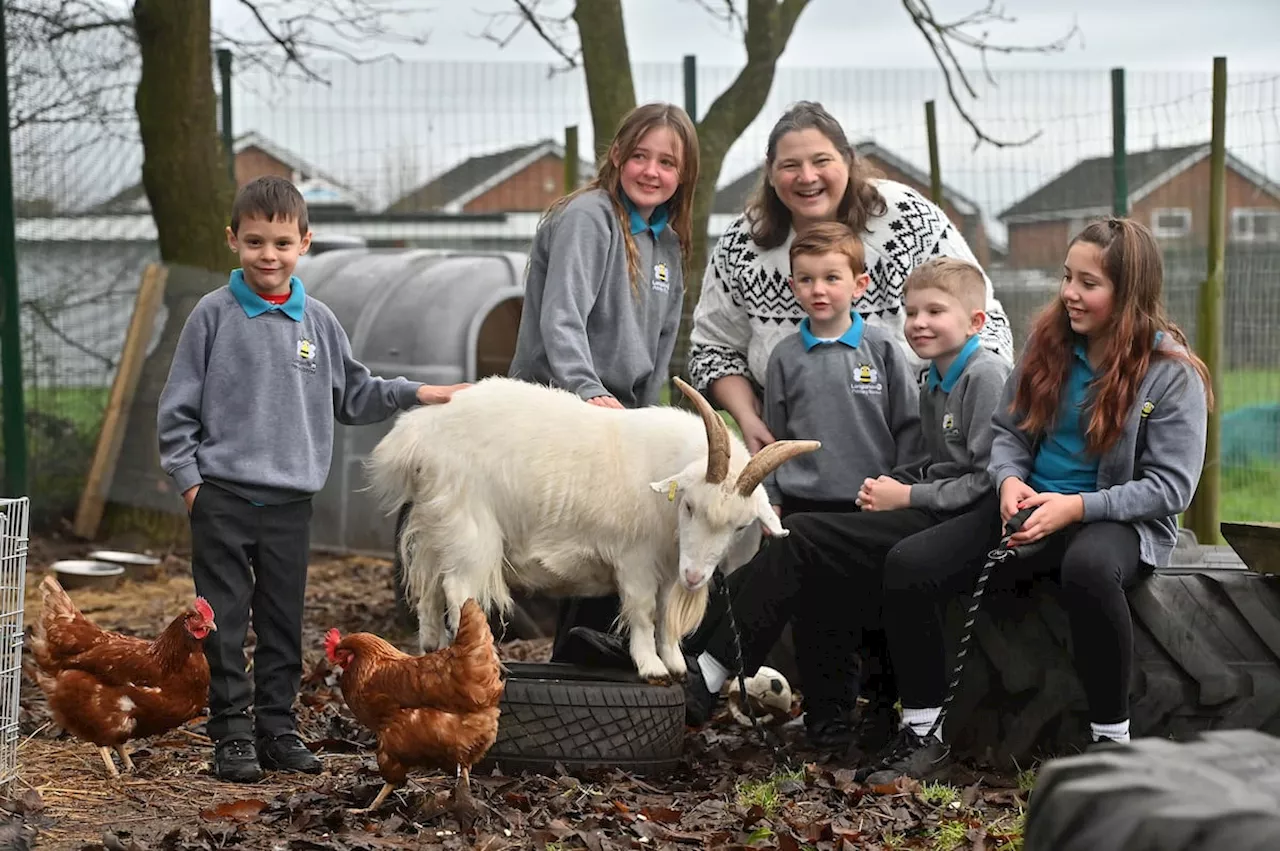 Longlands Primary School Celebrates Excellent SATs Results