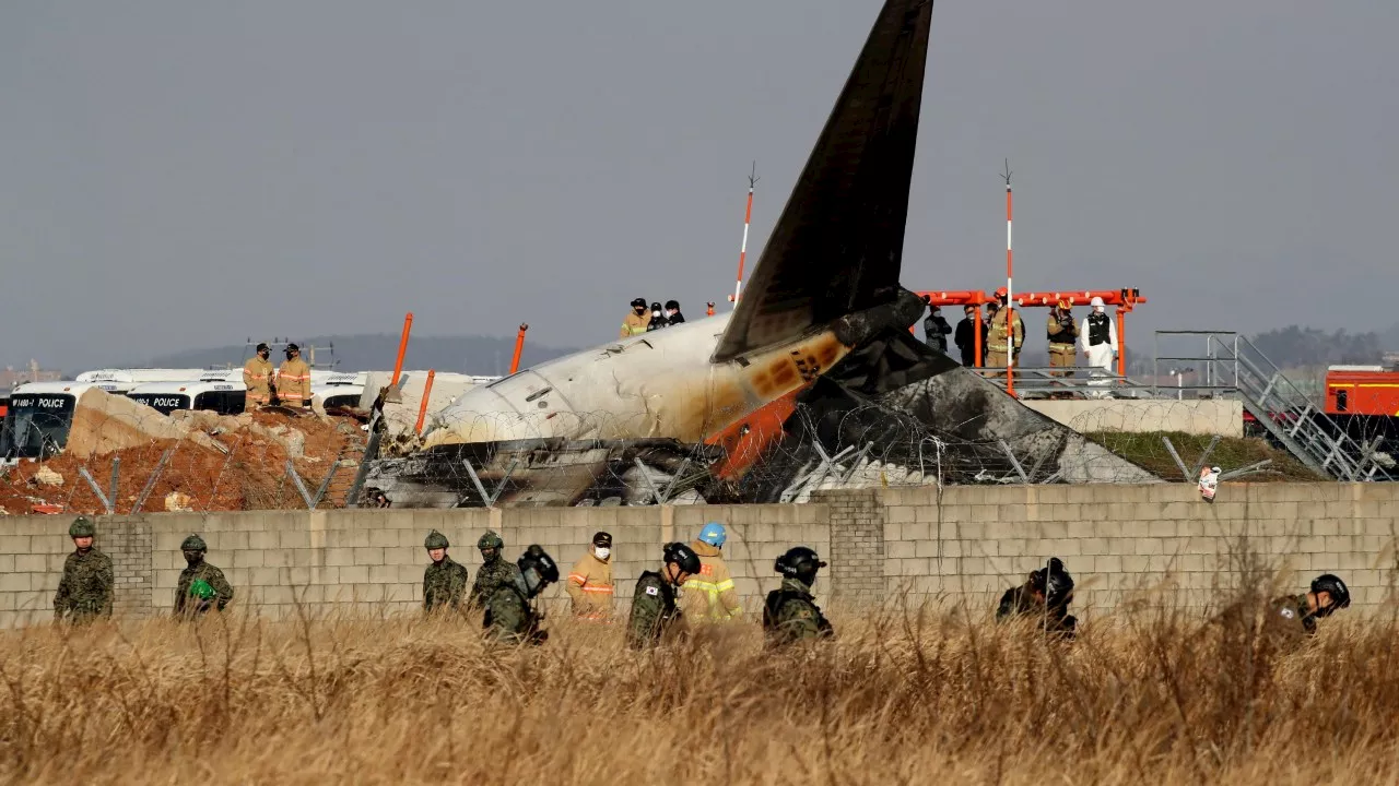 Jeju Air Plane Crash Survivors: Rear Seats Likely Saved Their Lives