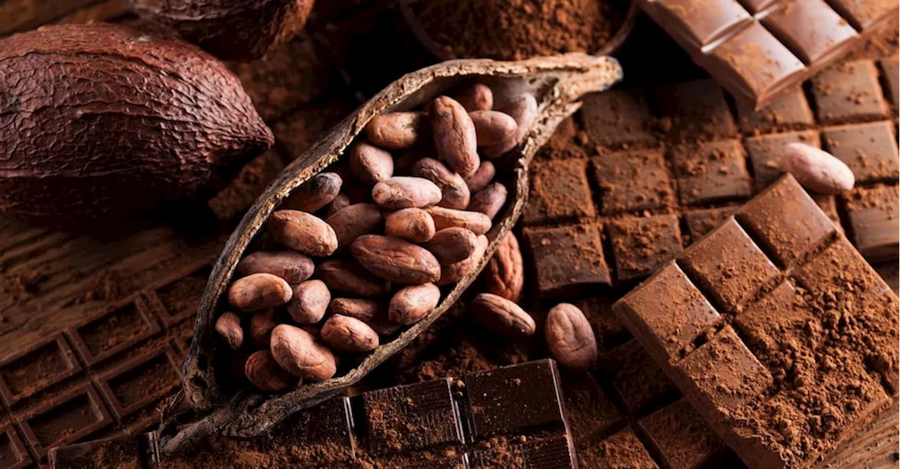 Cacao e caffè: prezzi record nel 2024