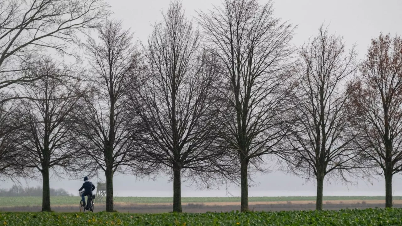 2024 Warmste Jahr in Mecklenburg-Vorpommern