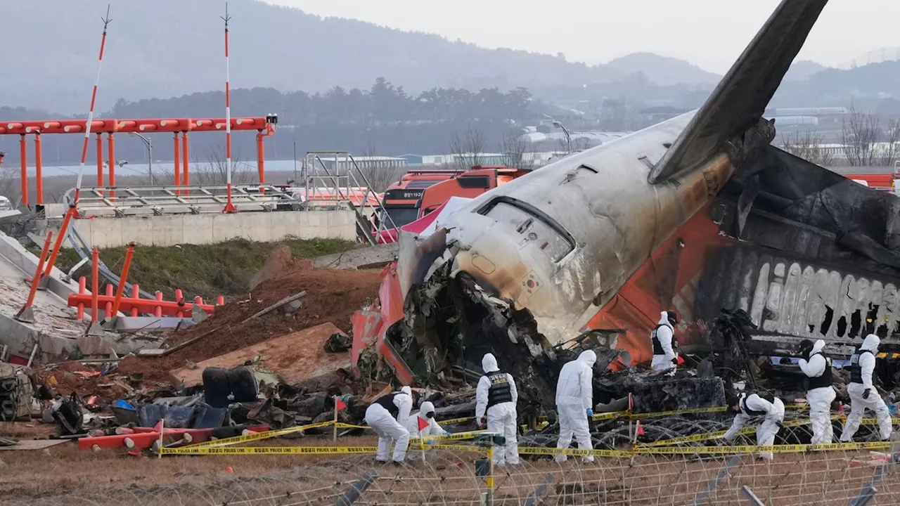 Flugzeugunfall in Südkorea: Mauer hinter der Landebahn im Fokus