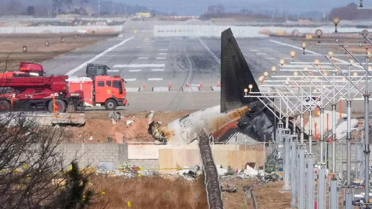 Südkorea: Behörden prüfen nach Flugzeugunglück Mauer in Muan