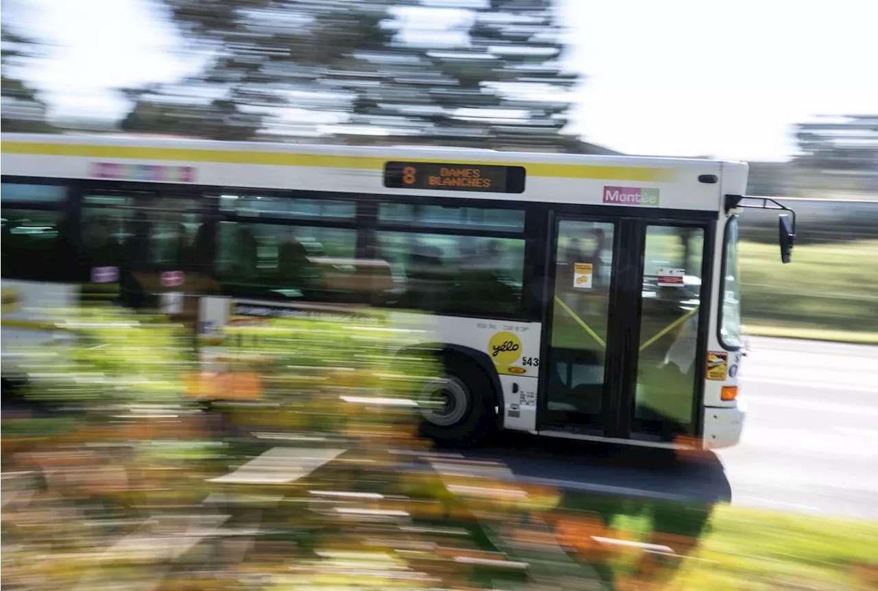 Yélo Mobilités prend la gestion du réseau de transports de La Rochelle