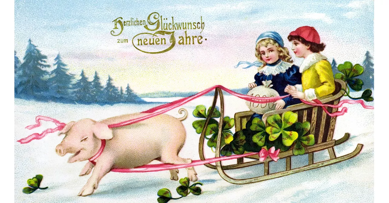 Das Schwein: Symbol für Glück und Schmutz