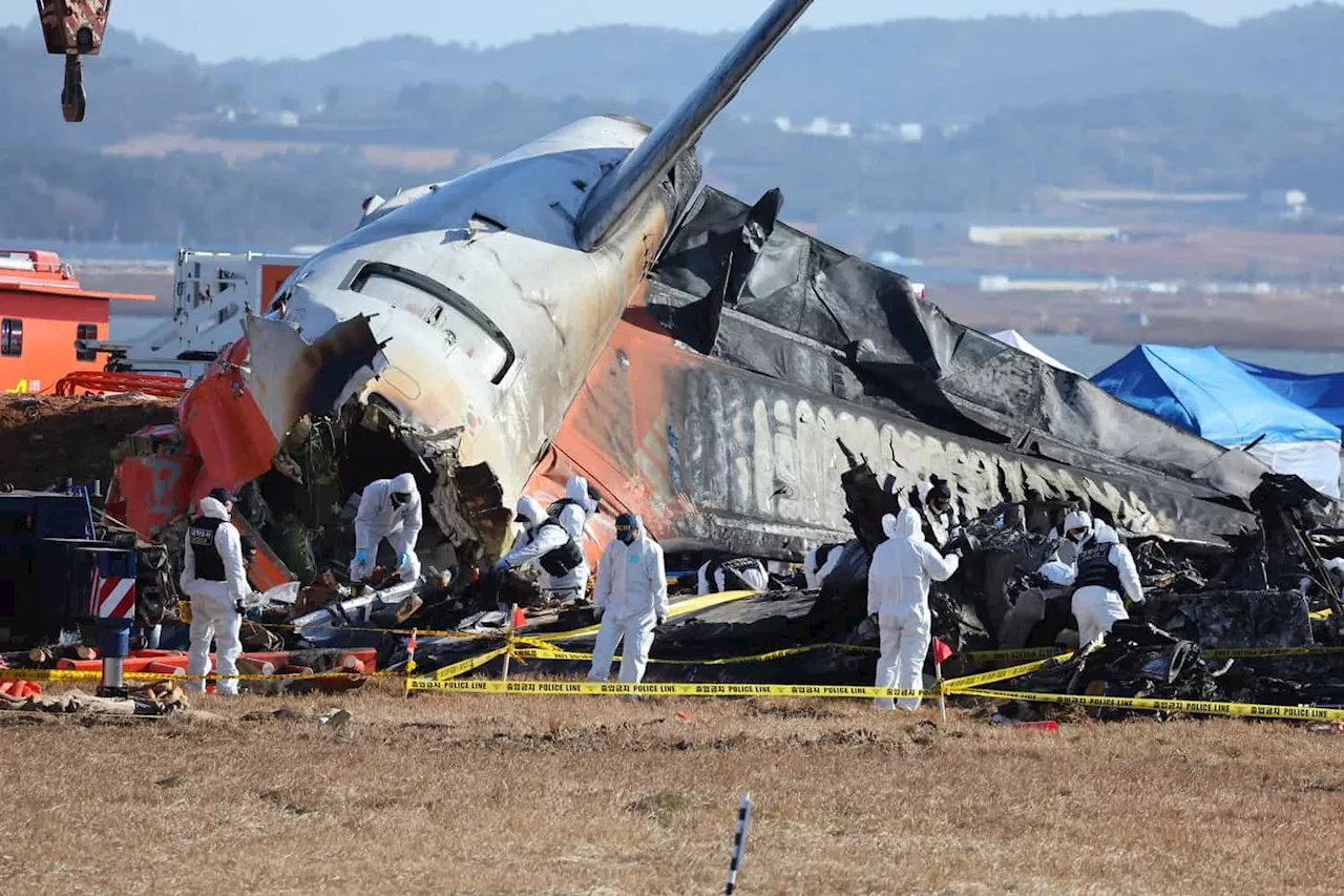 Jeju Air Boeing 737 Crash: Two Survivors, Full Investigation Underway