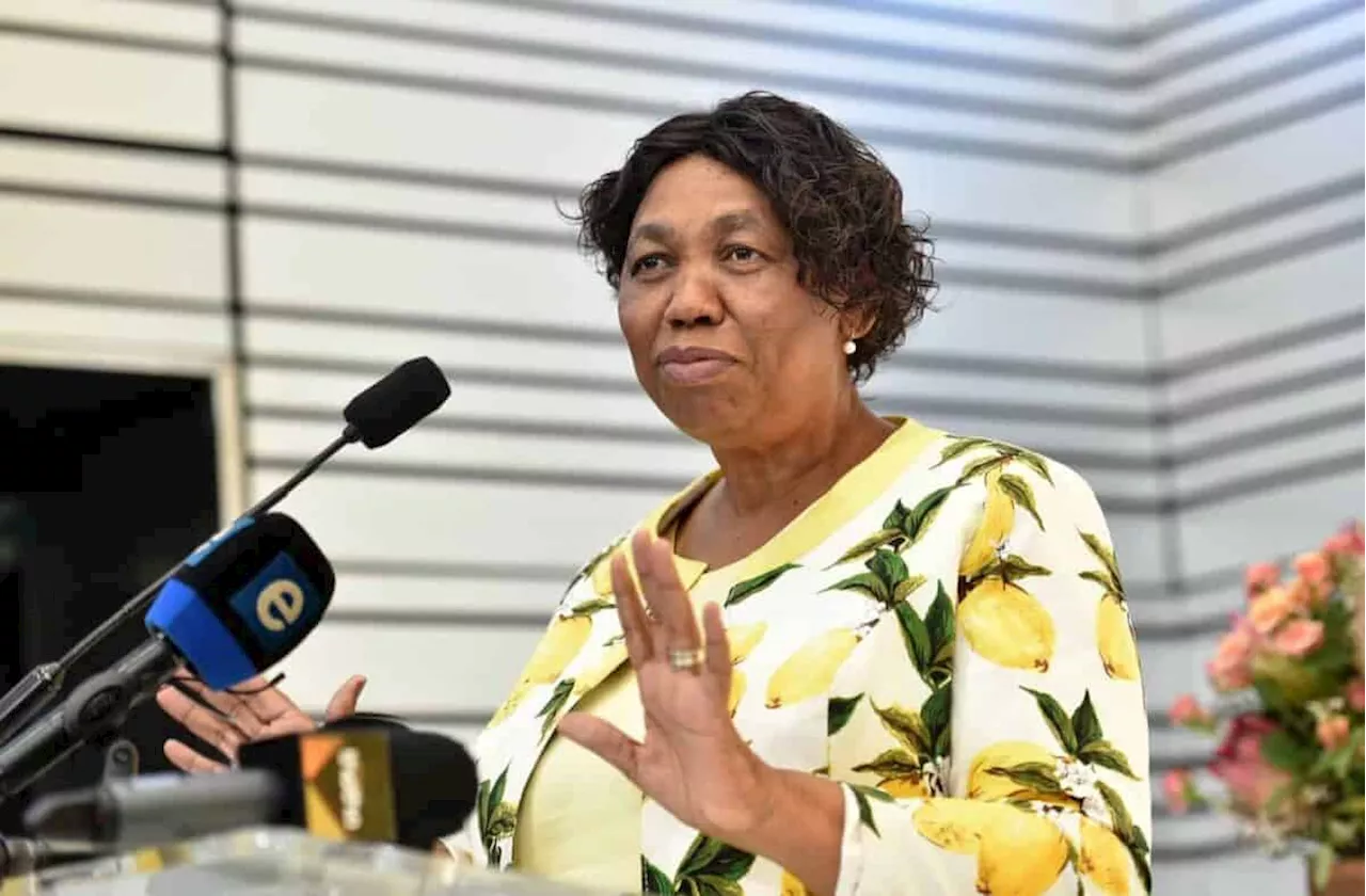 Motshekga's Defence Performance Under Scrutiny