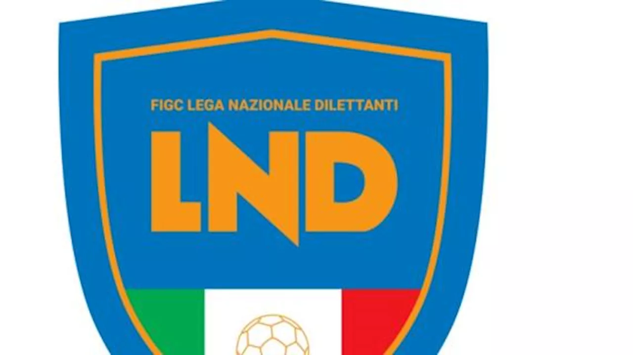 Criteri degli spareggi promozione Lega Nazionale Dilettanti