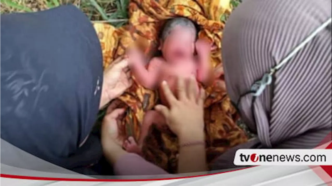 Bayi Ditemukan di Area Perkebunan Gresik