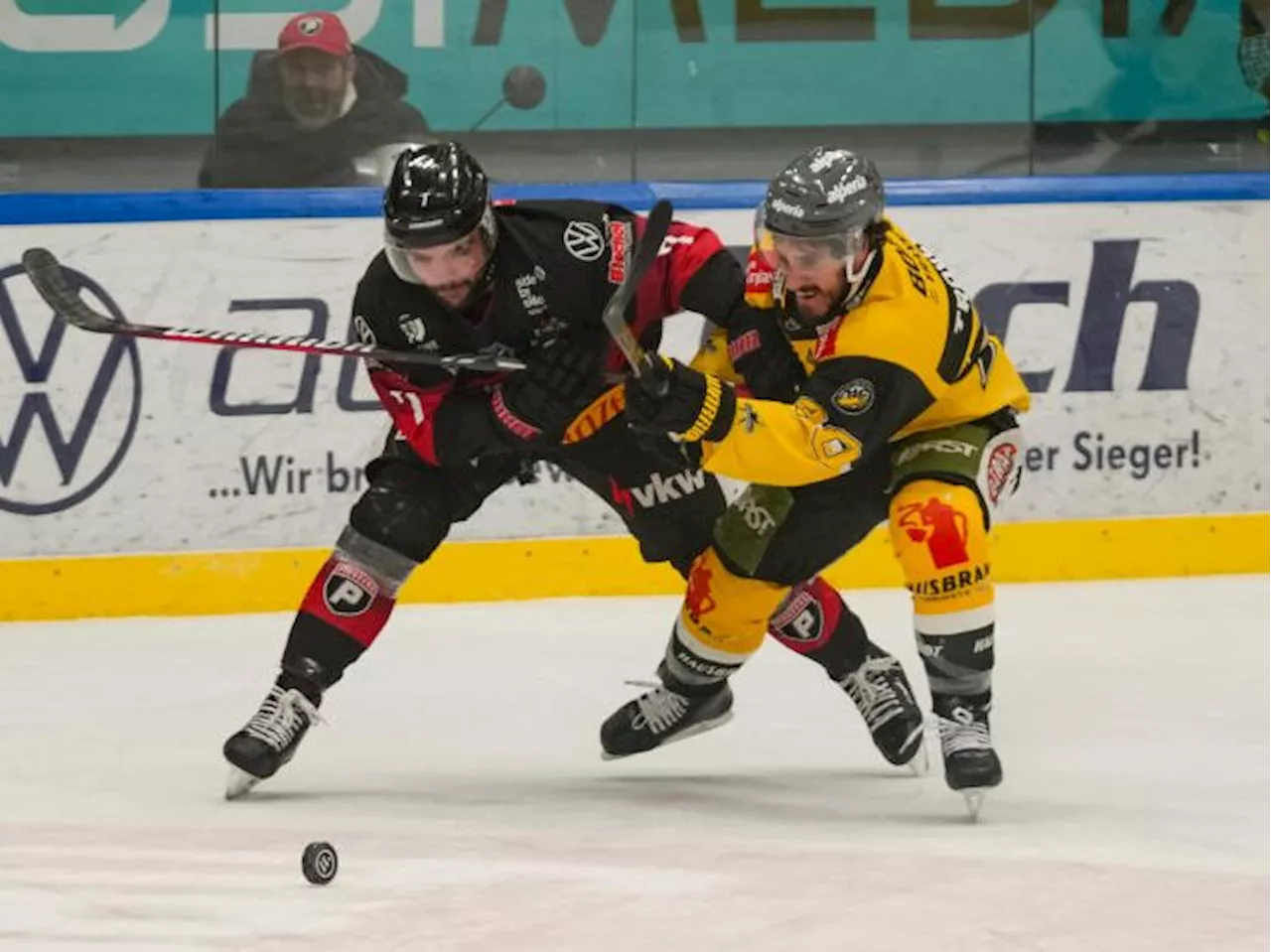 Pioneers Vorarlberg unterliegen Pustertal Wölfen