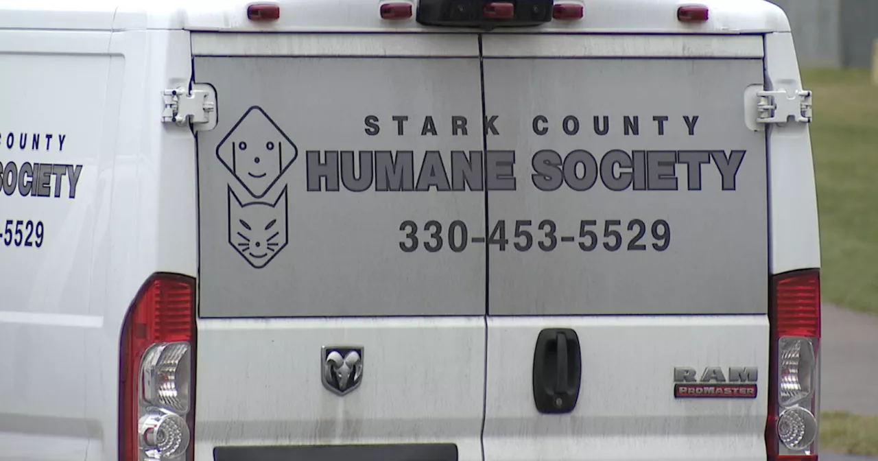 Concerns grow in Stark County over dogs mistakenly reunited with wrong owners