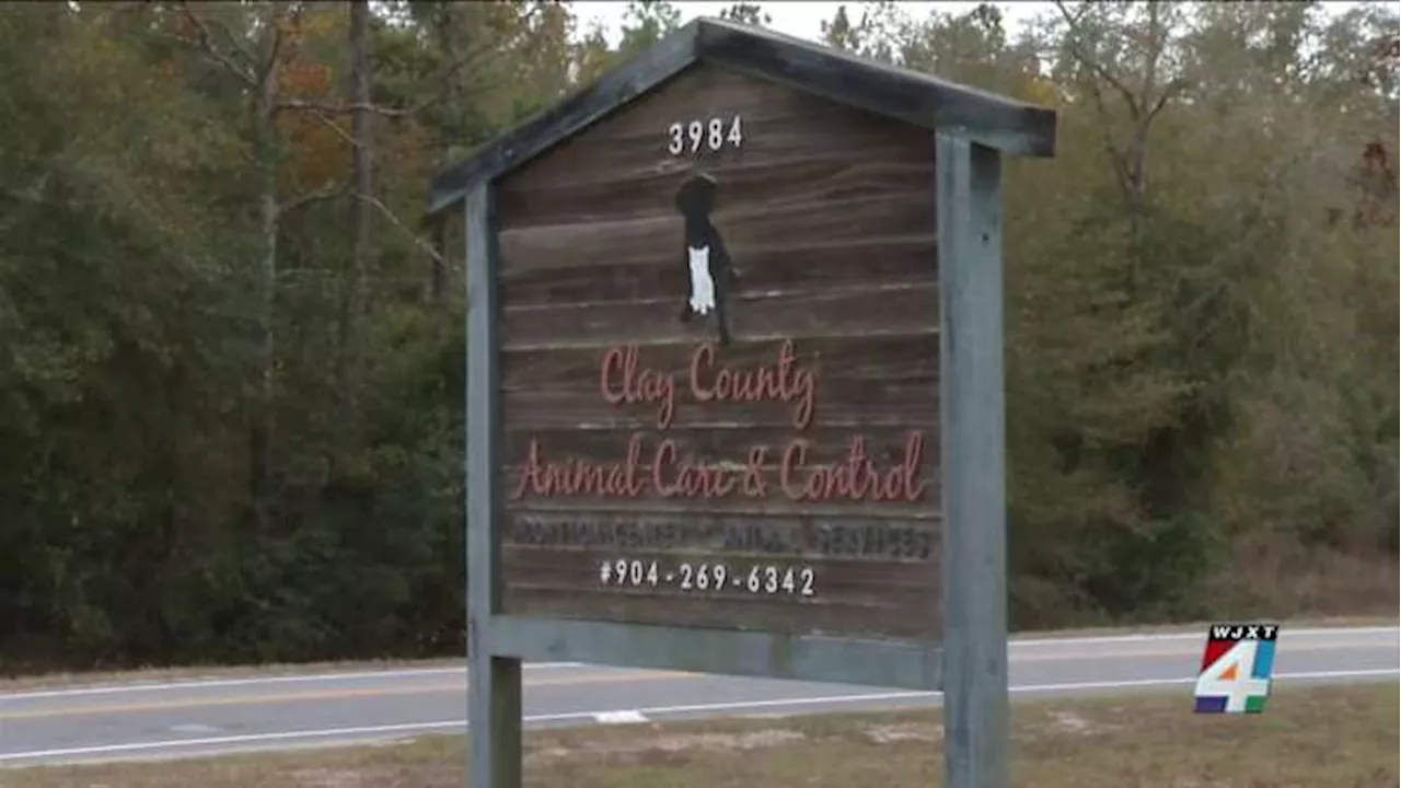 Clay County's New Animal Shelter to Break Ground in 2025