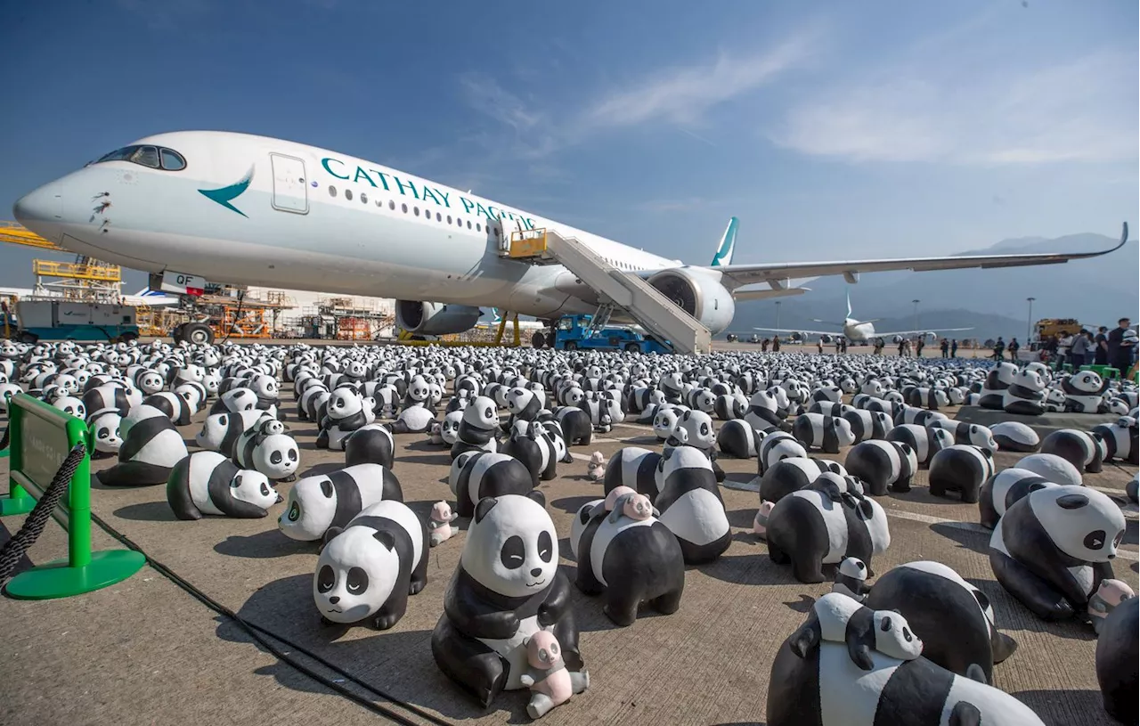 Hong Kong va exposer 2.500 sculptures de pandas dans ses rues pour booster l’économie locale