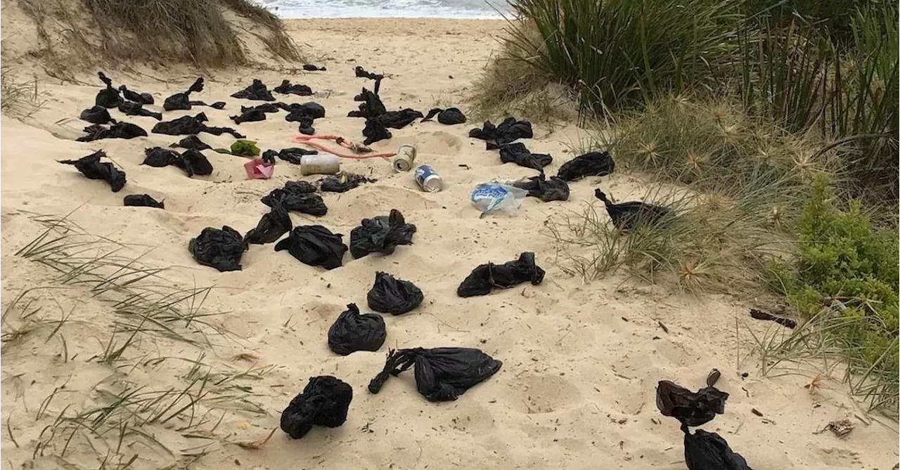 Disgusting discovery at Aussie beach sparks warning to dog owners