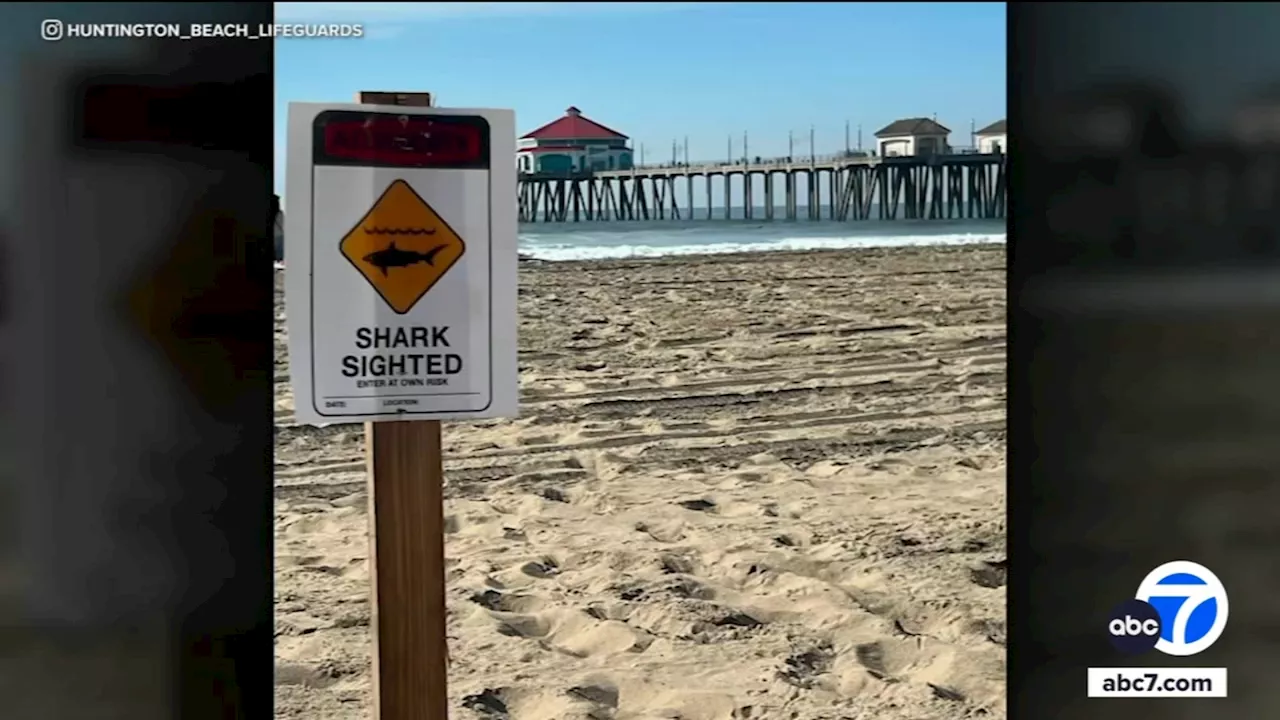 Huntington Beach lifeguards increase safety patrols after reports of 2 sharks caught by fishermen