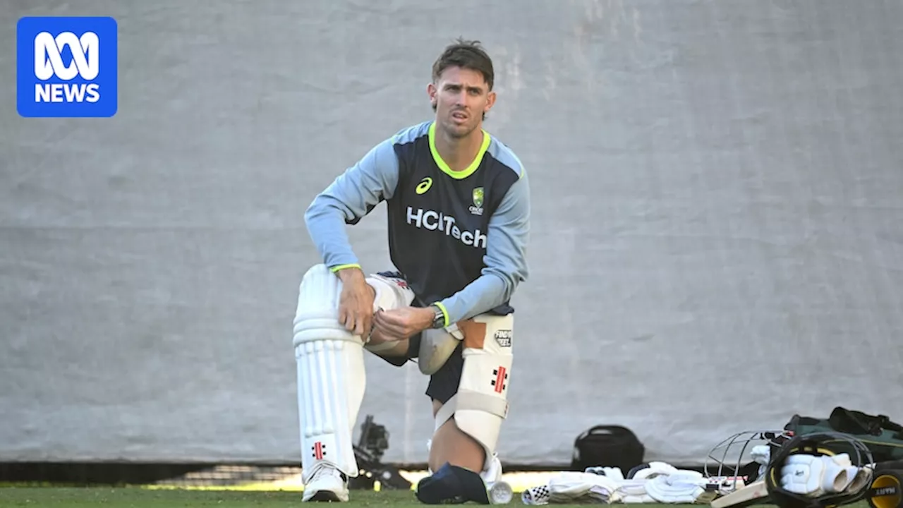 Mitch Marsh under injury cloud after failing to bowl during training session on the eve of Adelaide day-night Test against India