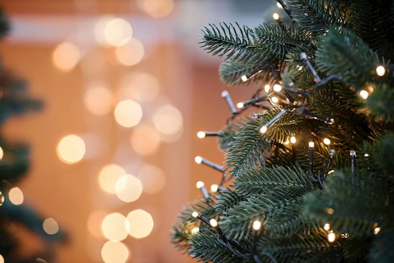 Noël avant l’heure : quatre sapins artificiels à prix réduit pour des fêtes magiques