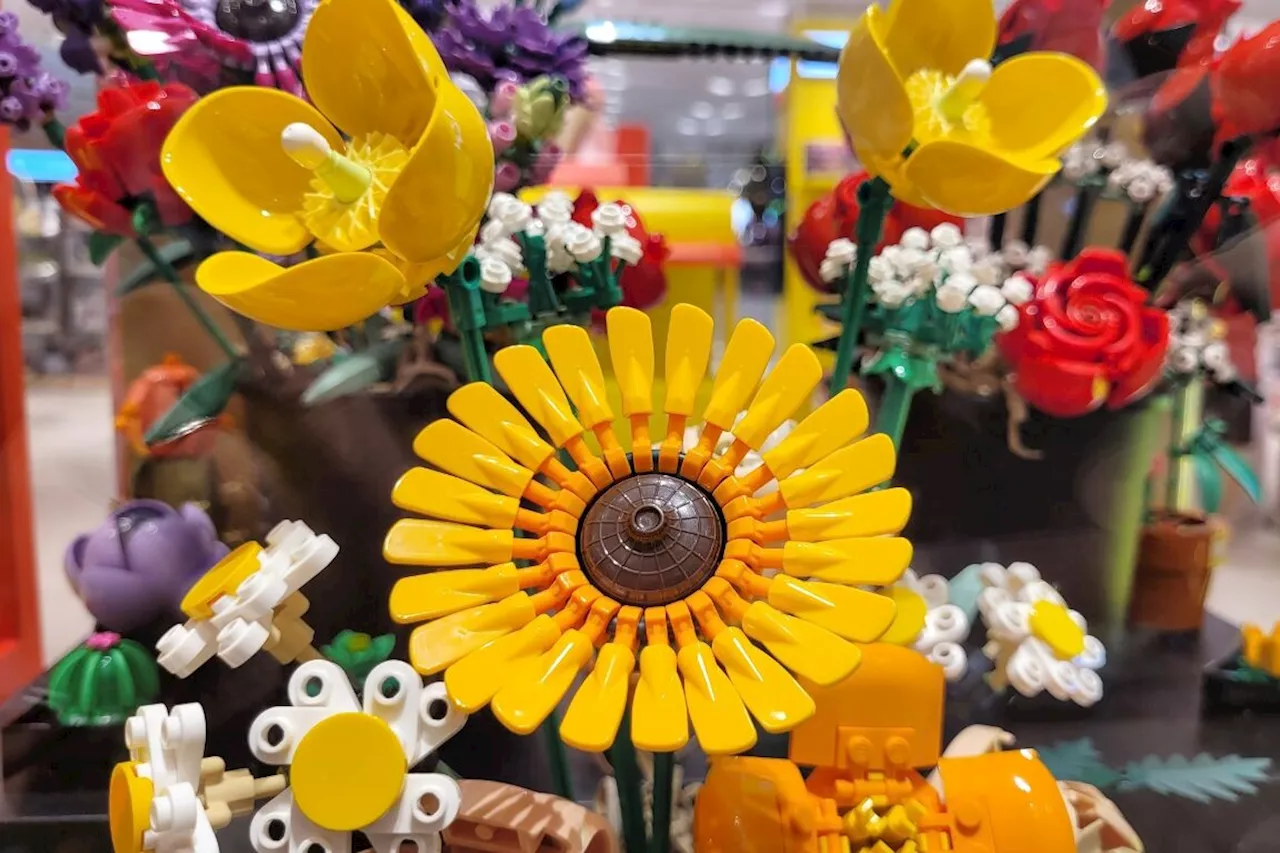 Offrez des fleurs éternelles à Noël avec cette offre LEGO