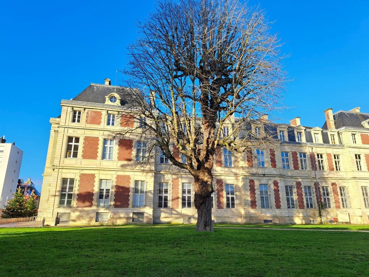 Près de Rouen, cette ville va faire payer les dégâts causés aux arbres