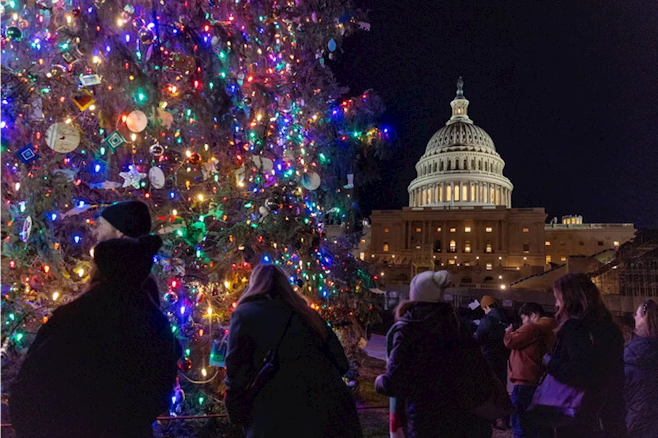 Cerimonia di accensione dell'albero di Natale a Washington