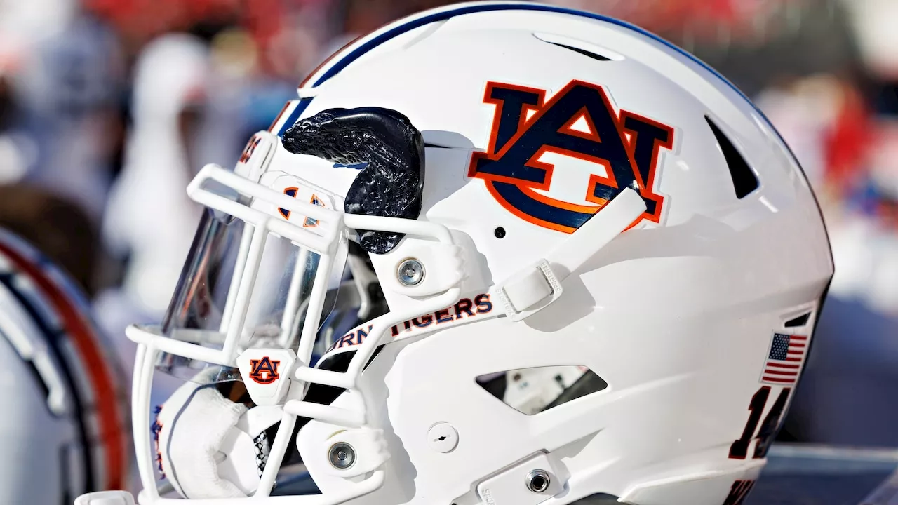 Auburn punter announces plans to enter transfer portal